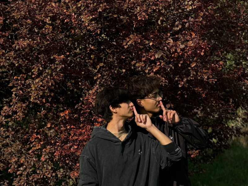 Two Brother